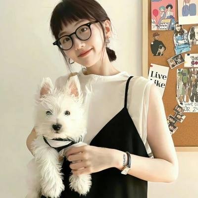 纯情罗曼史第一季